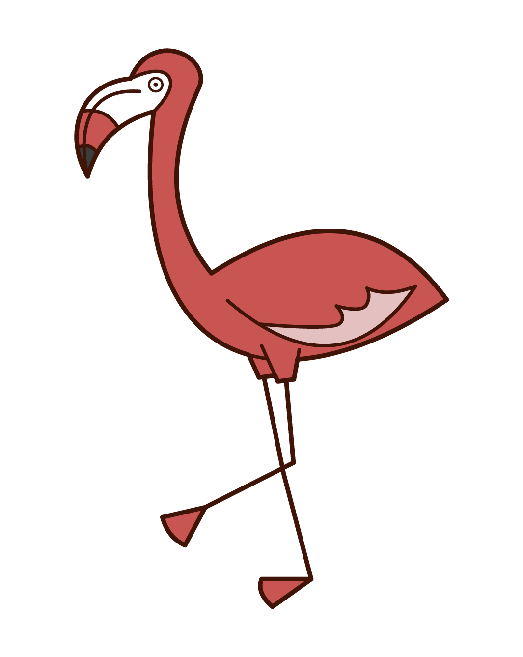 Flamingo Illustration