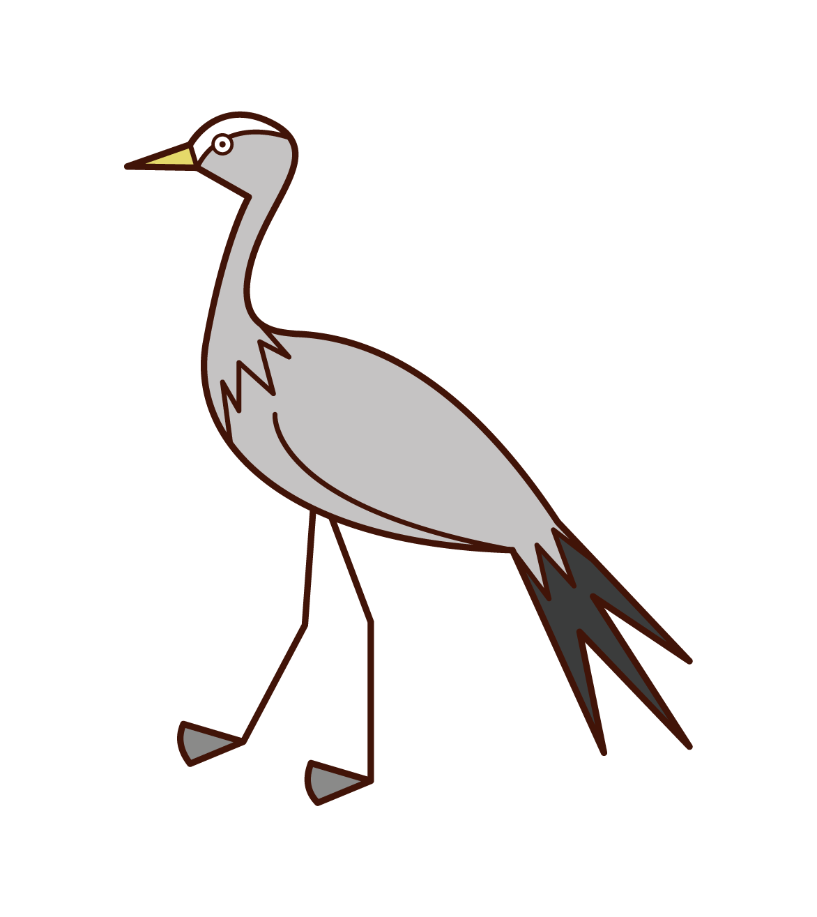 Illustration of a sea eagle