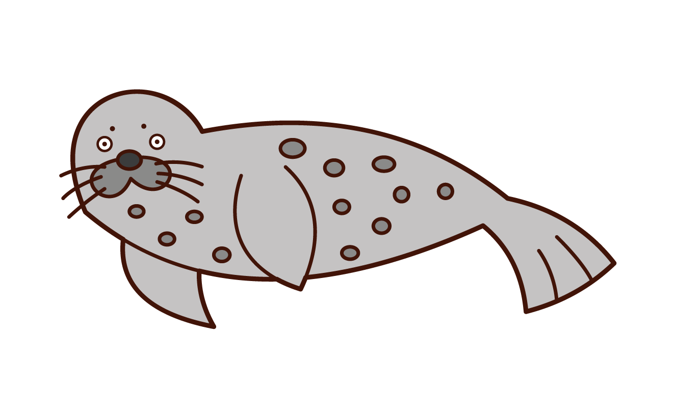 Illustration of a seal