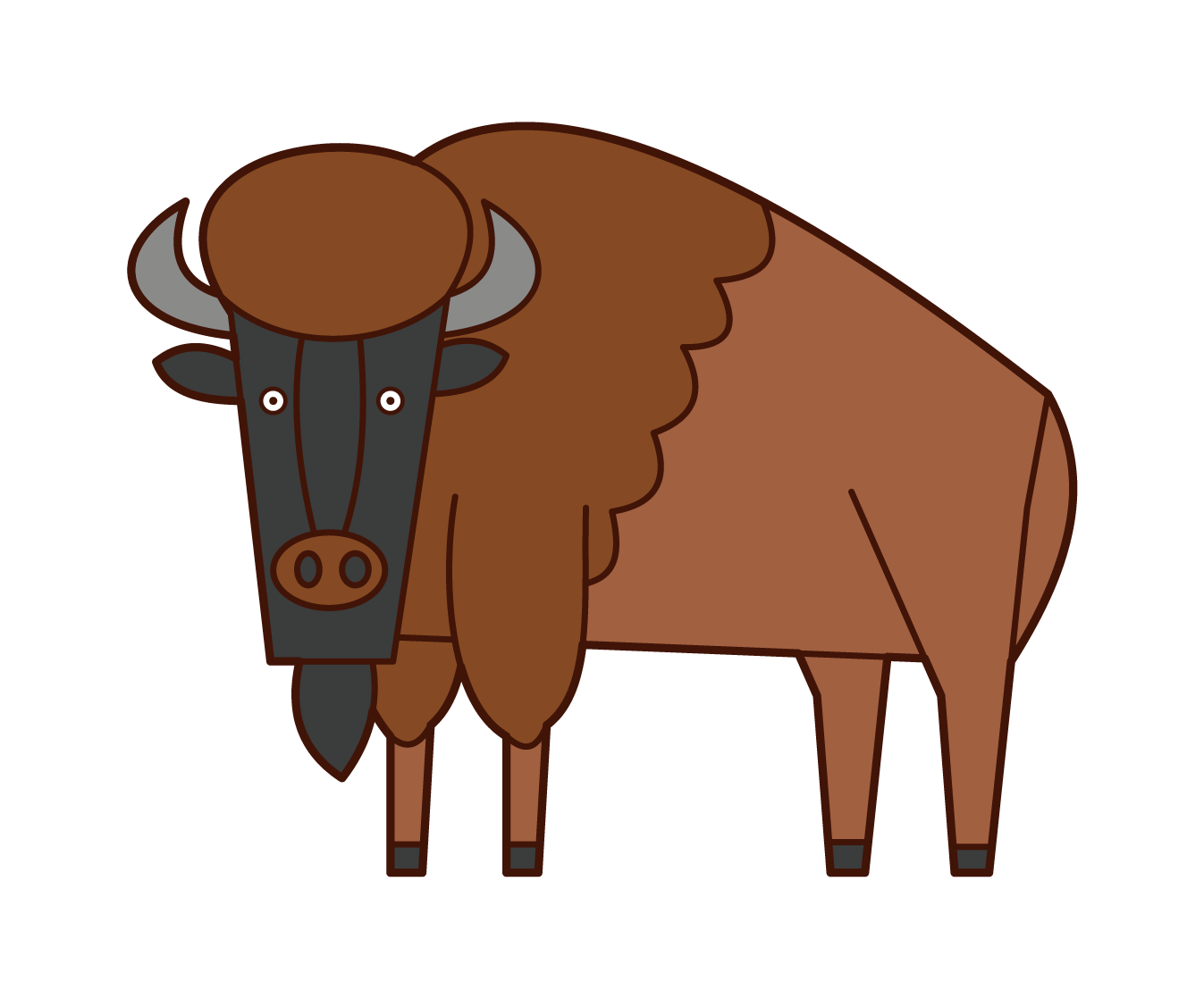 American Bison Illustration
