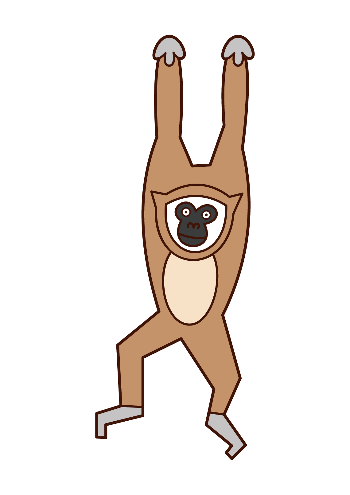 긴팔원숭이의 삽화