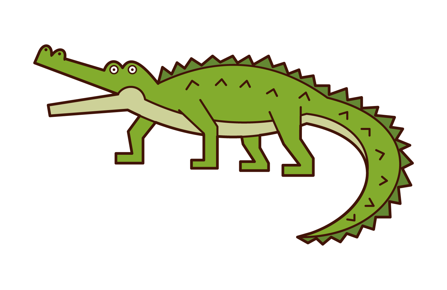 鱷魚插圖