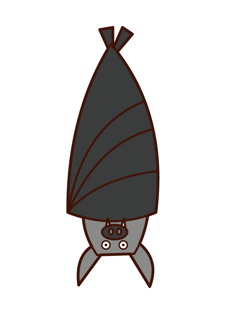 Illustration of a flying bat