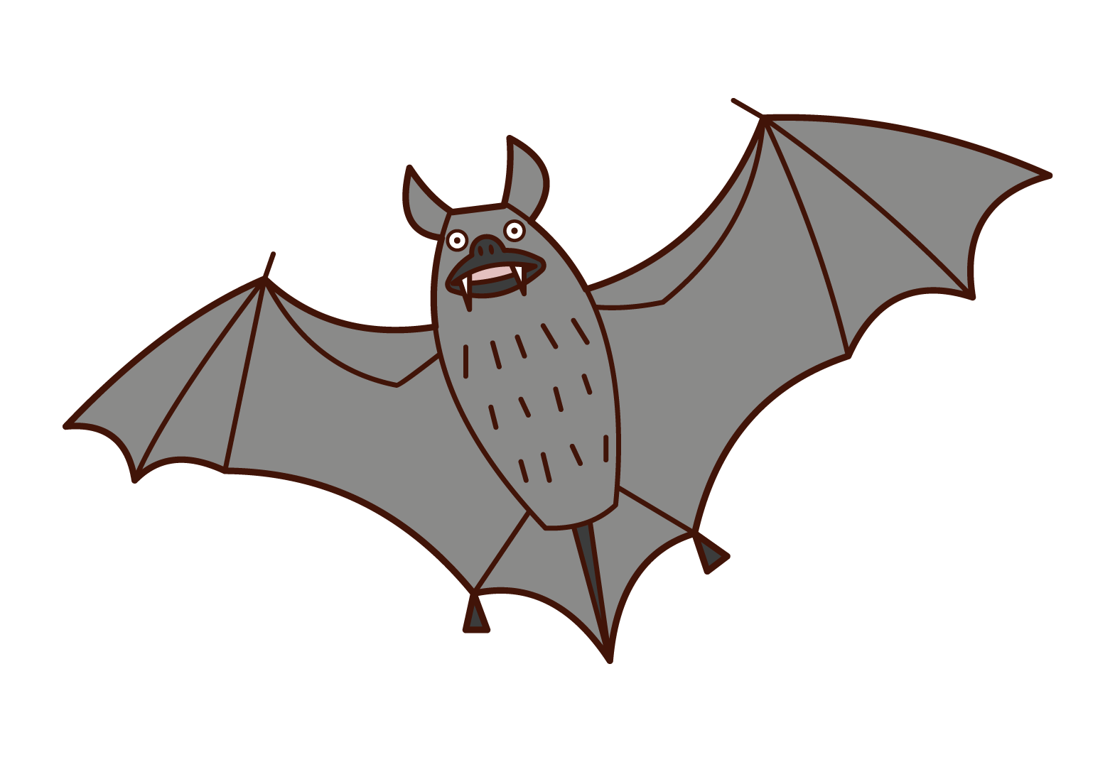飛蝙蝠插圖