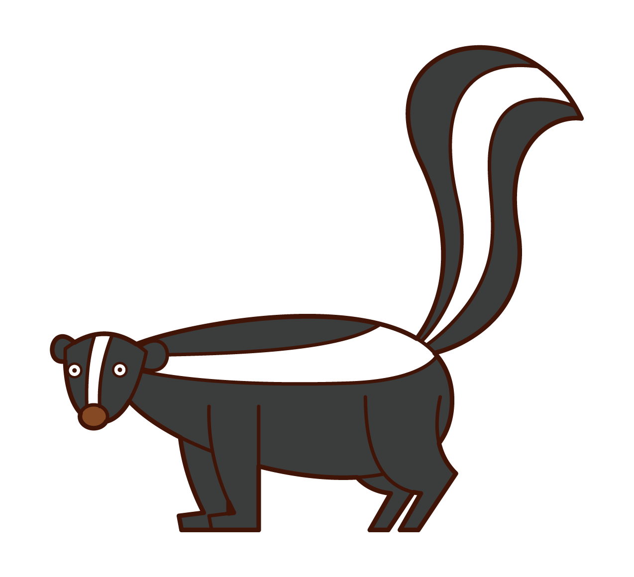 Skunk Illustration