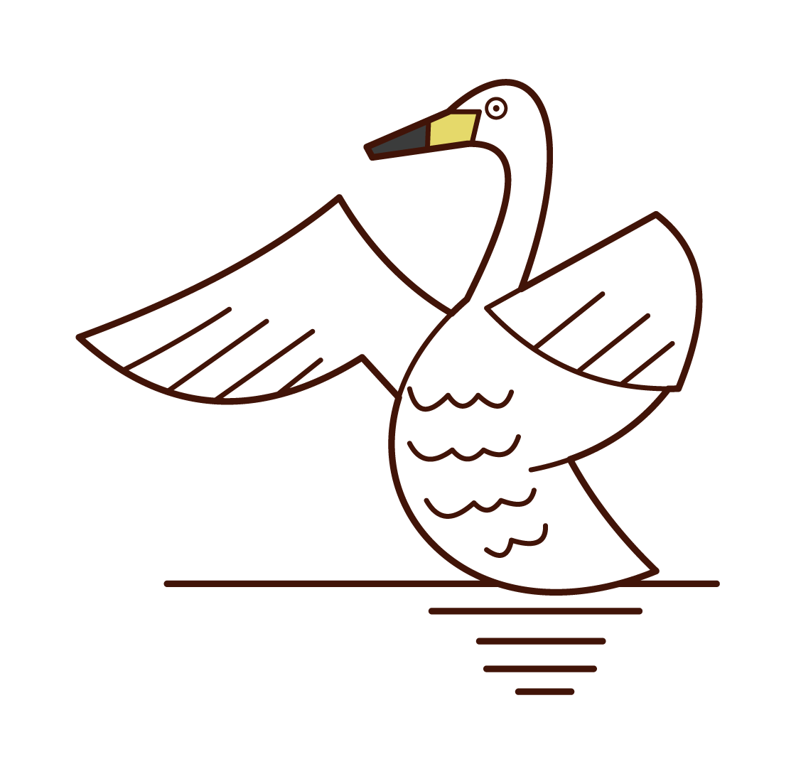 Illustration of a swan spreading its wings