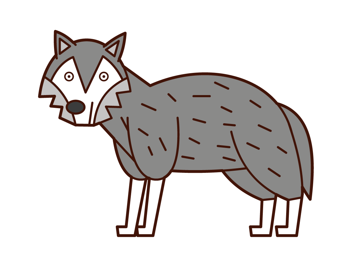 Illustration of a wolf