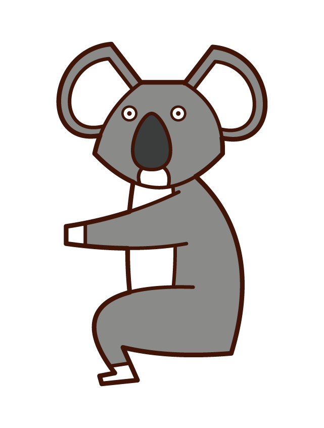 Koala Illustration