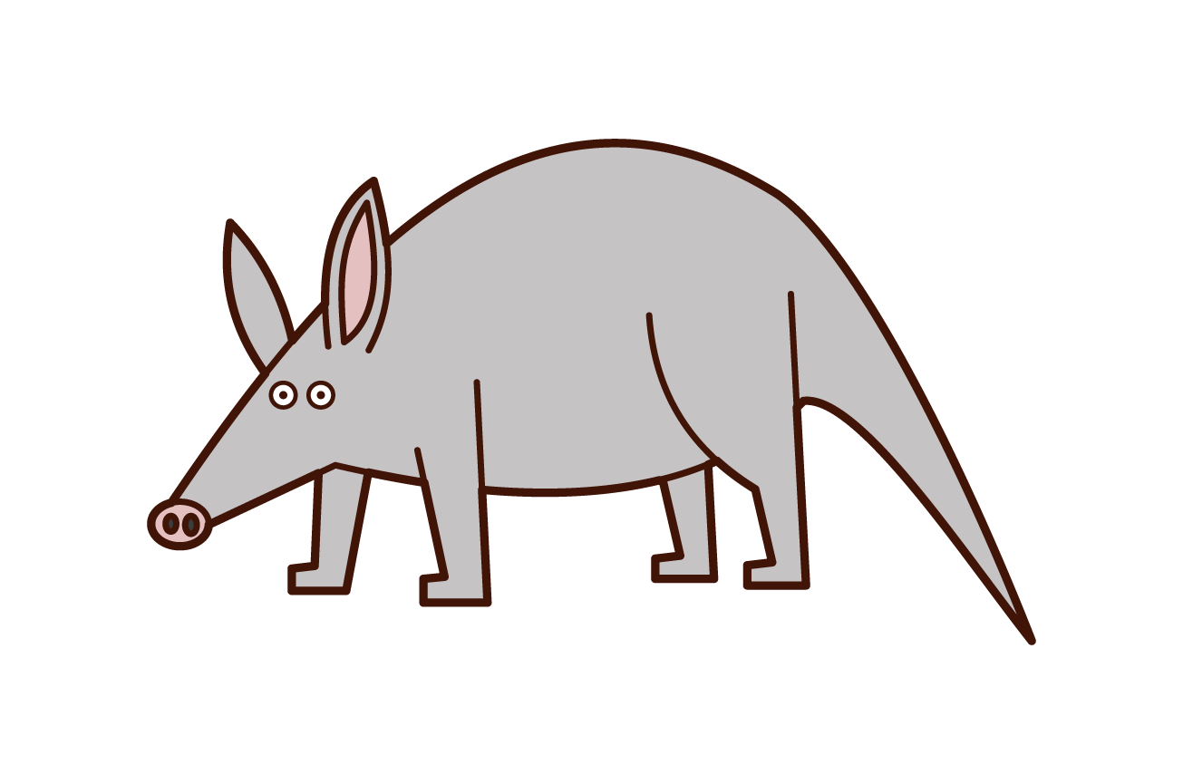 Illustration of wild boar
