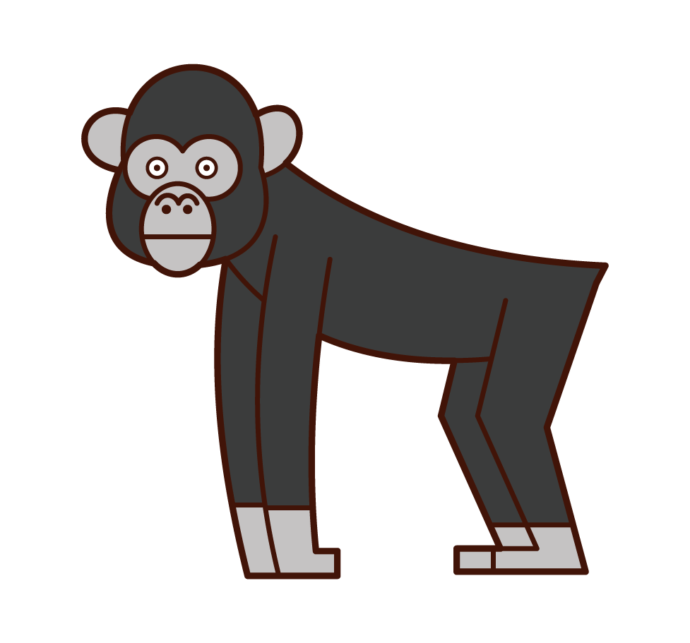 チンパンジーのイラスト フリーイラスト素材 Kukukeke ククケケ
