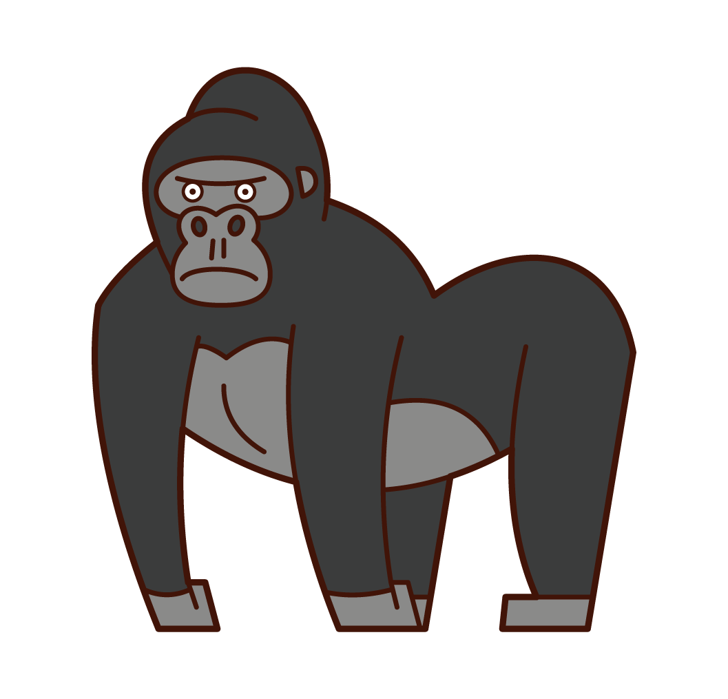 Gorilla Illustration