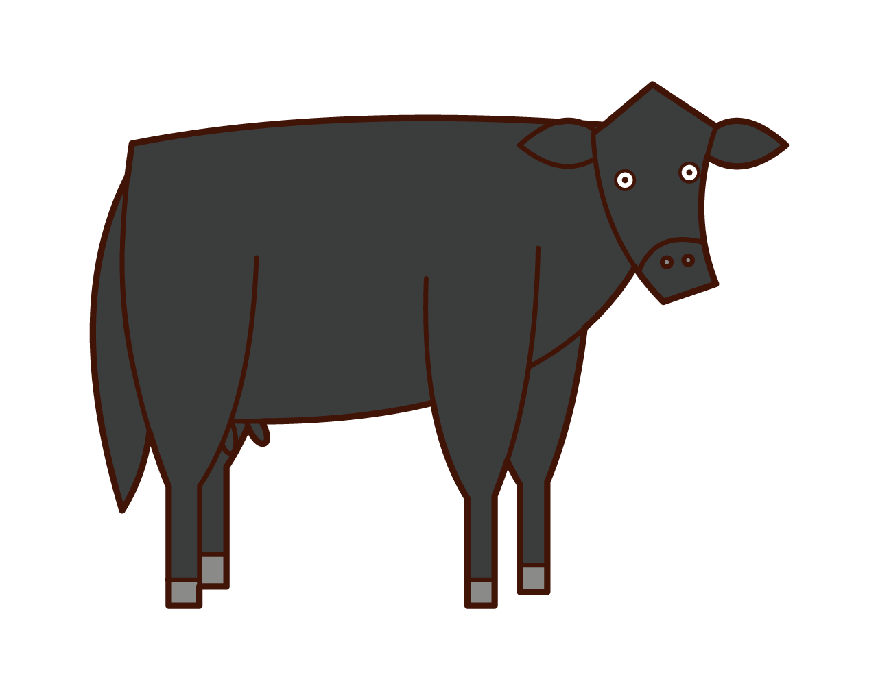 Illustration of a cow