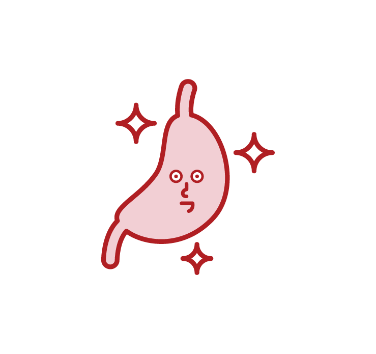 Illustration of a healthy stomach