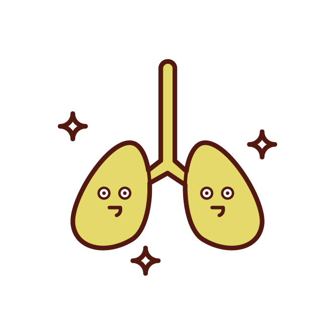 Healthy Lung Illustration