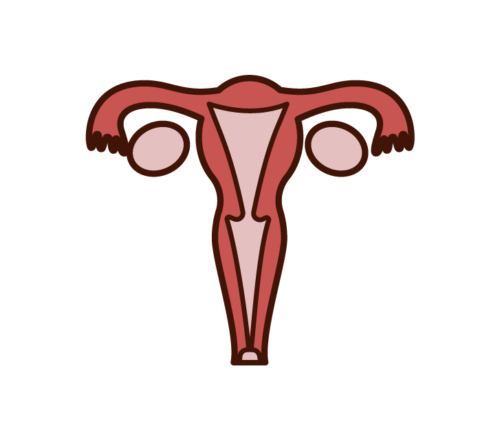 Fat Liver (woman) Illustration