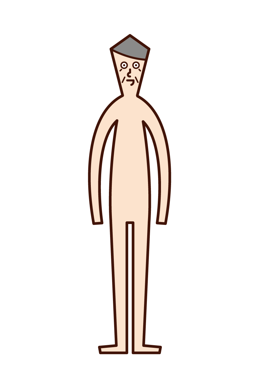 Illustration of human body (woman)