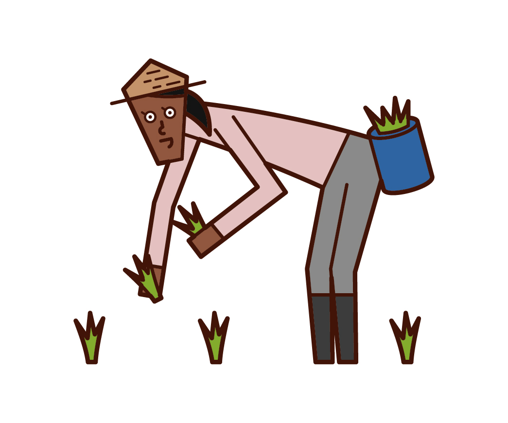 田植えをする人 女性 のイラスト フリーイラスト素材 Kukukeke ククケケ