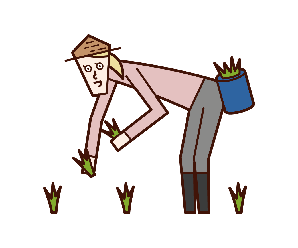 Illustration of a rice planting person (woman)