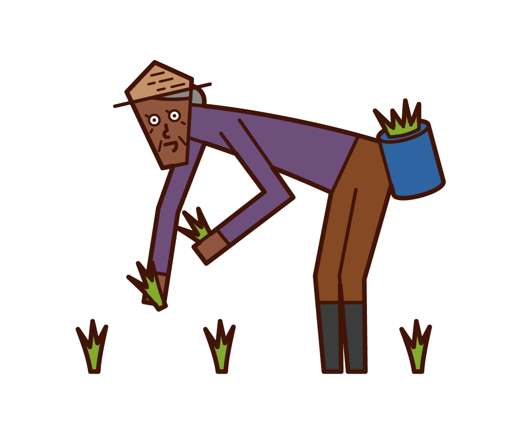 Illustration of an old man planting rice