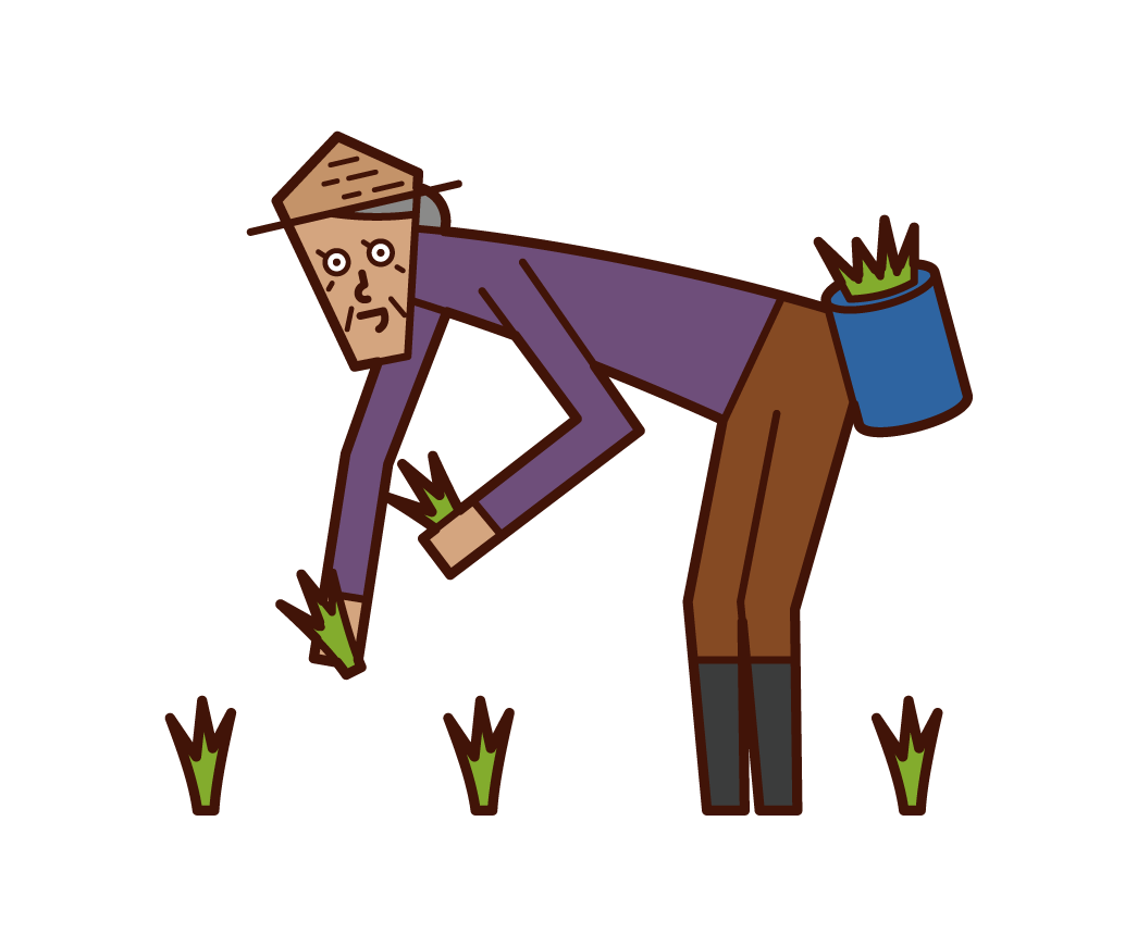 Illustration of an old man planting rice