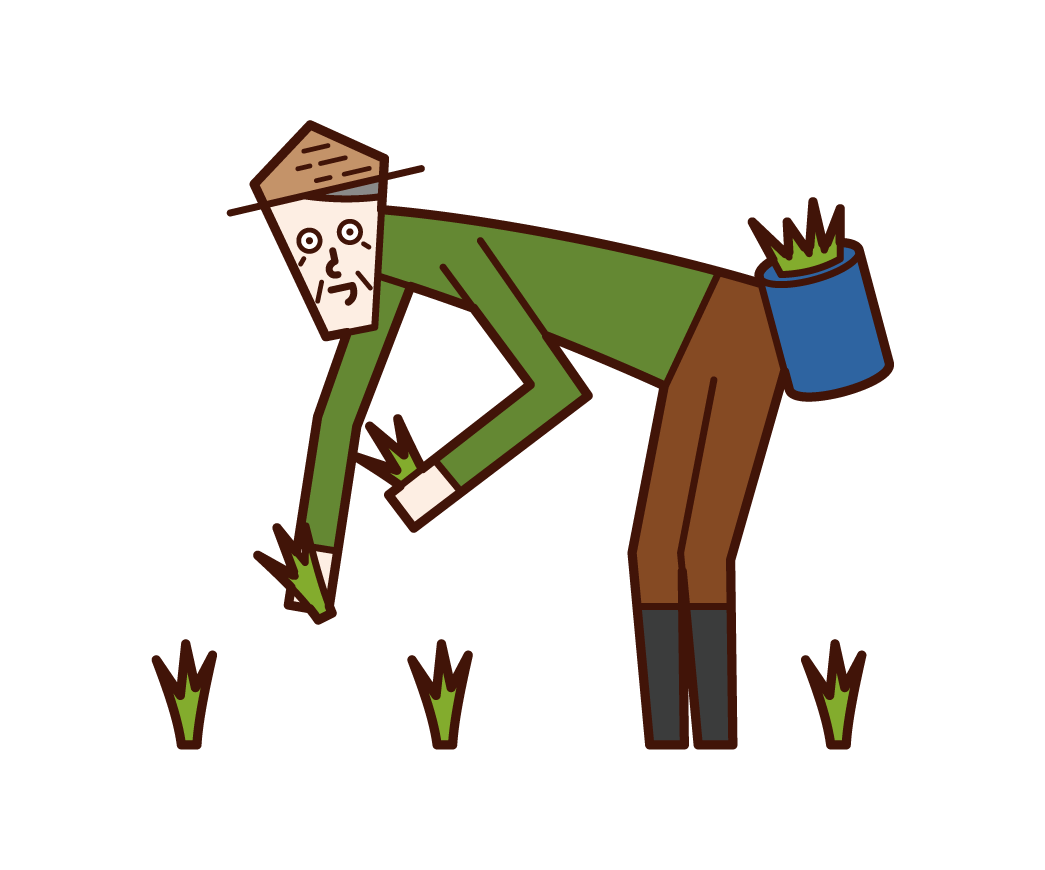 Illustration of a rice planting person (old man)